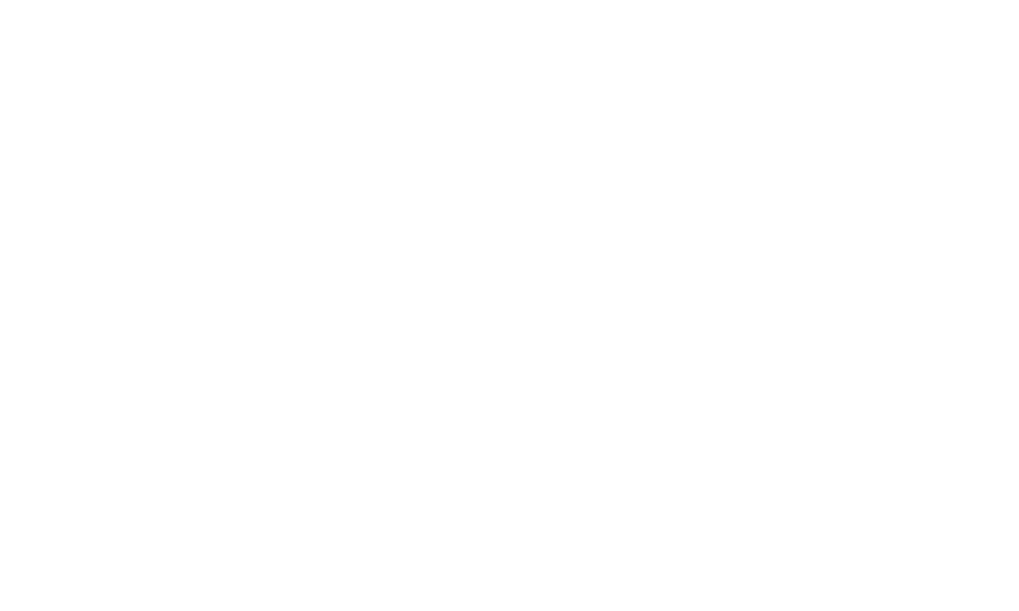 logo png2